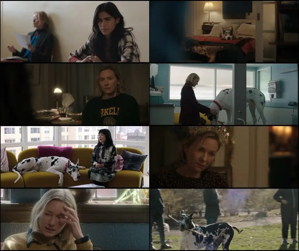 The Friend Screenshot 1