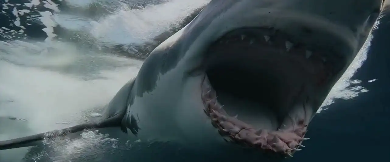 Chum Screenshot 2