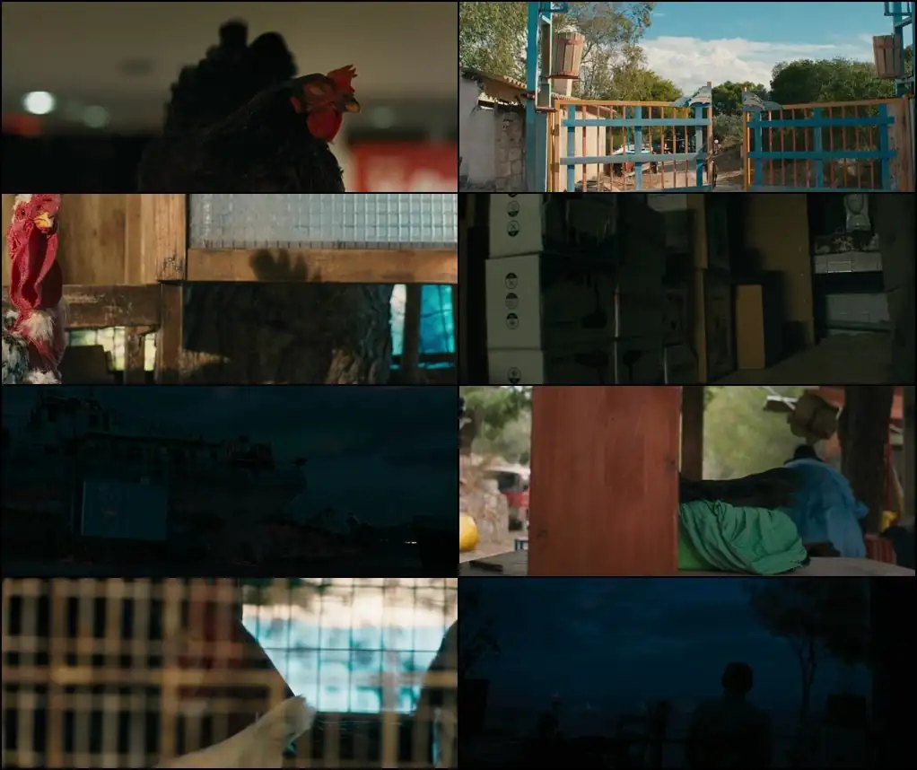 Hen Screenshot 1